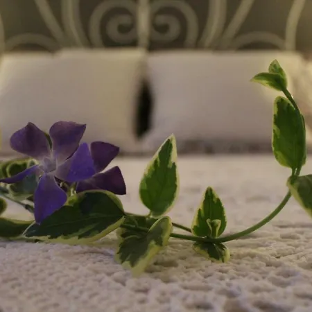 Apartamento House For Rest Borbolani *