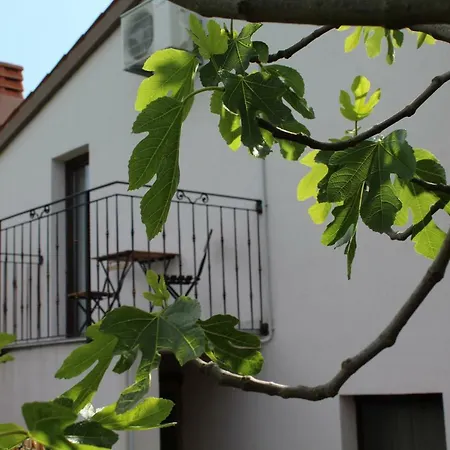 Apartamento House For Rest Borbolani